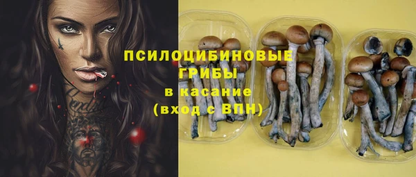 ПСИЛОЦИБИНОВЫЕ ГРИБЫ Вязьма
