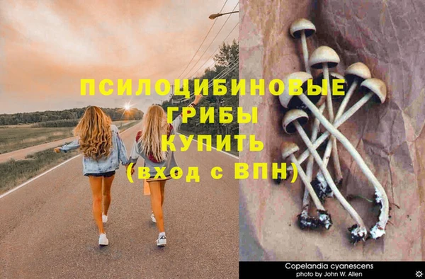 мдма Вязники