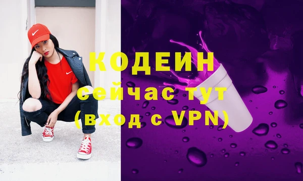 меф Вяземский