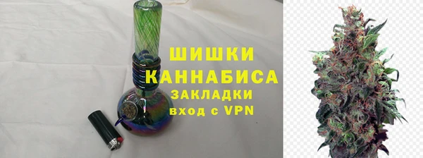 ПСИЛОЦИБИНОВЫЕ ГРИБЫ Вязьма