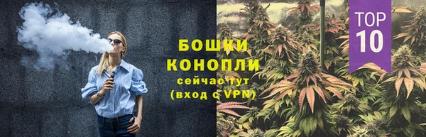 ПСИЛОЦИБИНОВЫЕ ГРИБЫ Вязьма